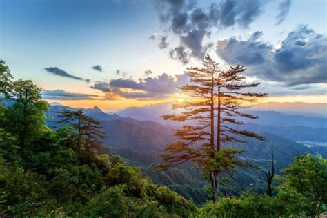 大明山|杭州大明山景区怎么玩？游玩路线（休闲游+徒步游）